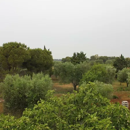 Al Mare Nel Verde Porto Cesareo